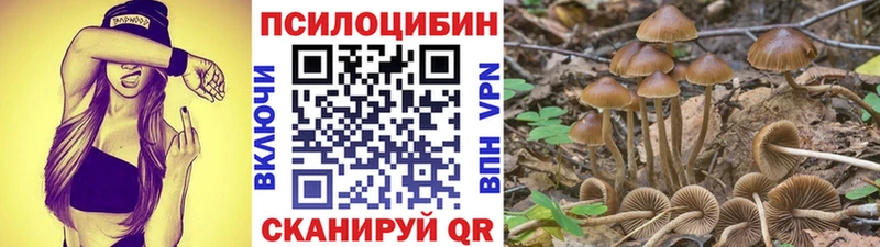 Псилоцибиновые грибы мицелий  Учалы 